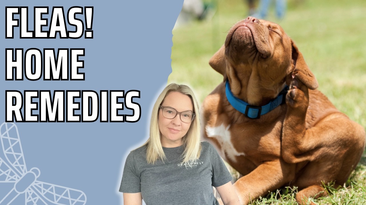 Natural Flea Treatment for Dogs: Prevent and Protect