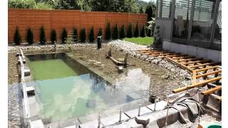 DIY swimming pond in your Home backyard YouTube