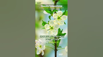 Transformation: The Power of Change. The Catalyst for a Better Life. #transformation  #change
