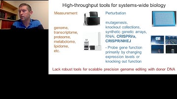 Multiplexed Precision Genome Editing with Trackable Genome-Integrated Barcodes in Yeast