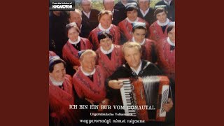 Download Lagu Es ging ein Madel MP3