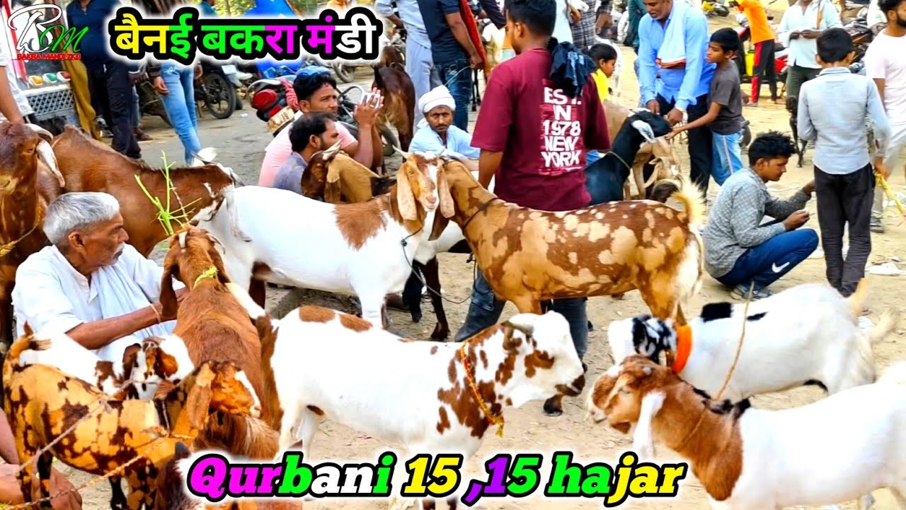 May 1 2025 बैनई बकरा मंडी | Qurbani 15 15 hajar ke bakre साल की सब से सस्ती मंडी | एक बार लोगे goat