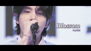 가사해석 엔하이픈Enhypen - Blossom