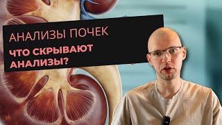 5 Ключевых Анализов Почек