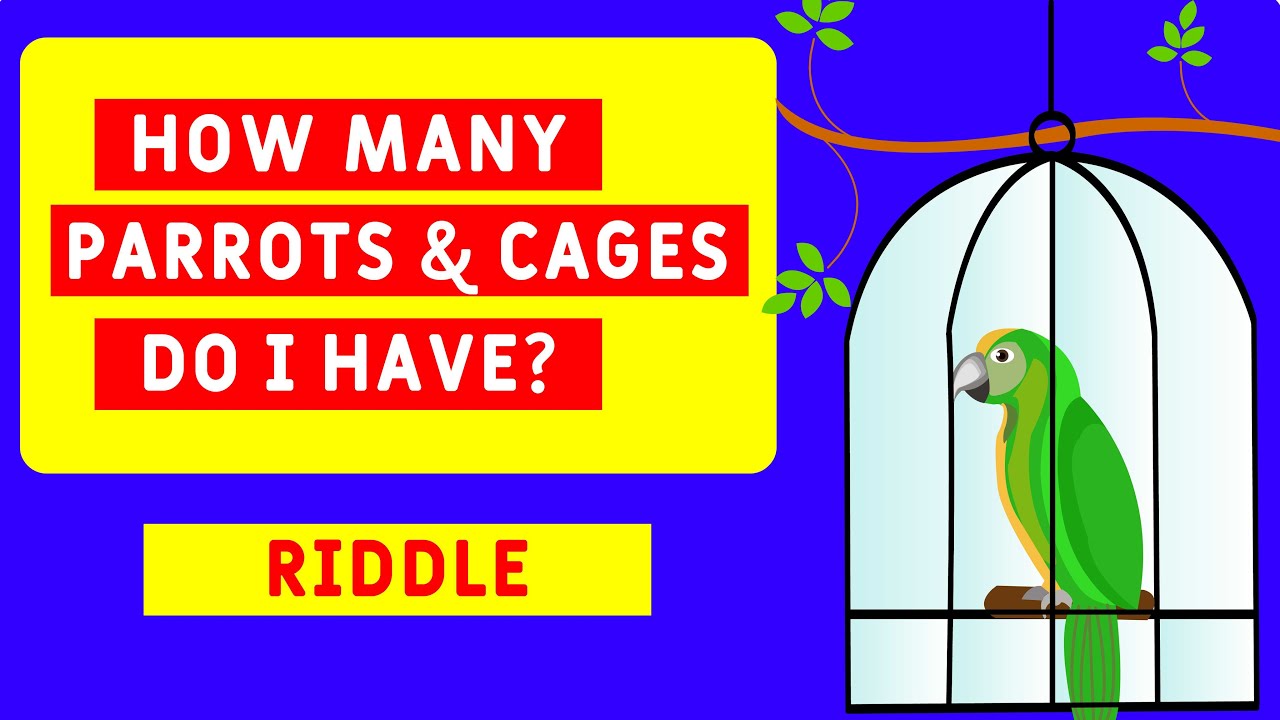 How many parrots and cages do I have? | Logic Riddles | Riddles with ...