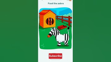 dop 3 level 413 feed the zebra 🦓