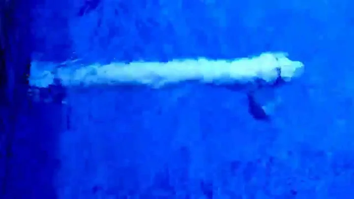 The Circulator For The Pool........MODIFIED!