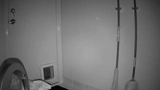 Ivideon Cloud Surveillance Pet Cam