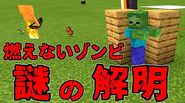 マイクラ海洋生物研究所 Mp3 マイクラ海洋生物研究所 Mp3