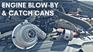 Engine Blow By and Oil Catch Cans - Everything You Need To Know