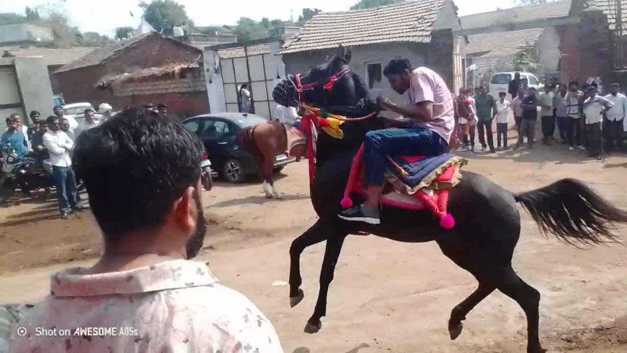 13 ફેબ્રુઆરી, 2026