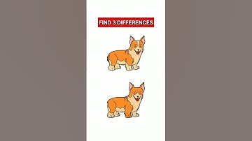 Find 3 differences #135