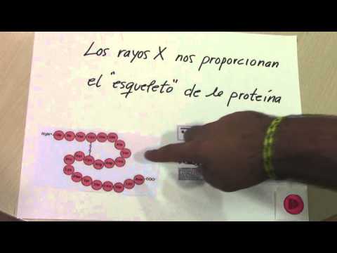 Vídeo: Diferencia Entre RMN Y Cristalografía De Rayos X