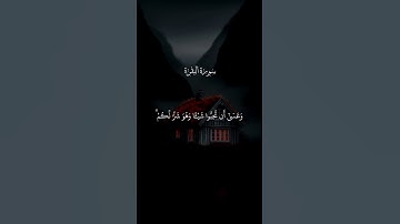 وَعَسَىٰ أَن تَكْرَهُوا شَيْئًا وَهُوَ خَيْرٌ لَّكُمْ ۖ | #quran #قرآن #فارس_عباد #تلاوات #تلاوة