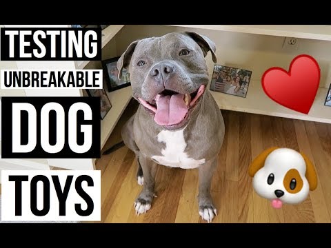 90-lb-pitbull-tests-out-indestructible-dog-toys-|-fail-or-fab