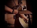 the GazettE - reila Guitar Solo Cover (TRACES VOL. 2 vers.)