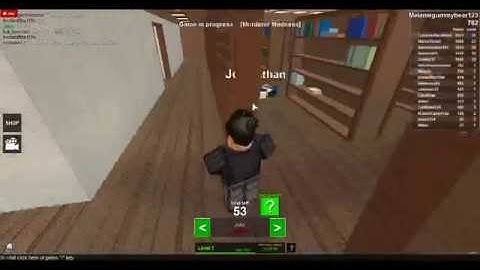 Hacker in Mad Murderer! Roblox