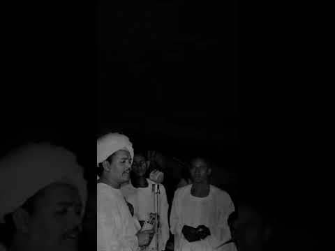 بادي محمد أحمد الليله لاقيتو