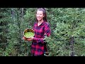 Harvesting Food from the Forest | Spruce Tip Jelly