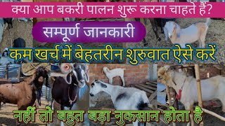 how to start goat farm | कम खर्च में बकरी पालन की शुरुवात कैसे करें | economical shedgoatfarm