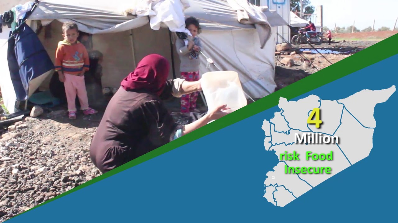 Food security sector in southern Syria