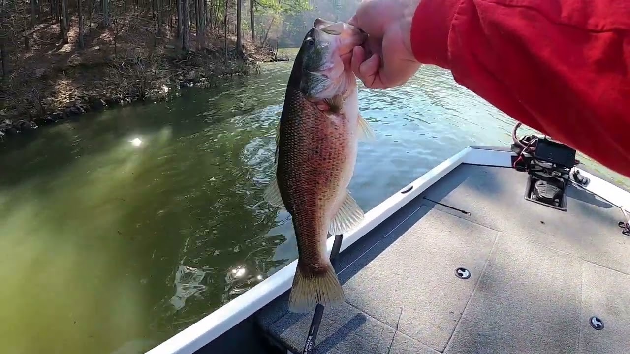 Lake Degray bass fishing