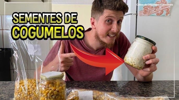 5 MINUTOS E UM PRATO QUE EU APRENDI A AMAR! Como preparar cogumelos na  manteiga e shoyu 