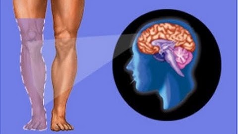 Phantom Limb Pain and Your Brain - Increase Your Knowledge of this Condition