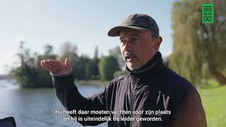 De Roep Van De Wildernis Een Boekentip Die Je Doet Blijven Bewegen.