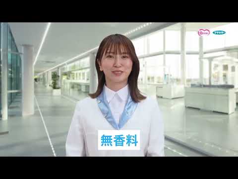 🔥🔥【日本直送《FUMAKILLA》汽車專用遮陽板防蚊驅蟲夾（2片裝）】
