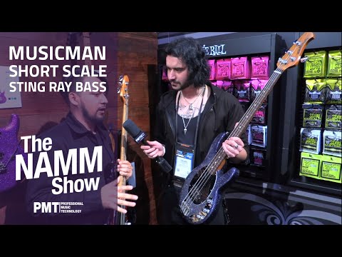 new-musicman-short-scale-sting-ray-bass-guitars-|-namm-2020