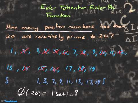 Number Theory 11