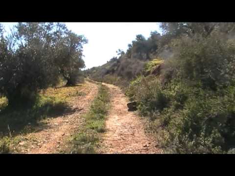 احكيلي عن بلدي احكيلي فيروز اللب ن الشرقيه فلسطين