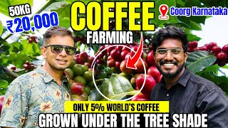 Coffee Forest 🌳 🔥A-Z Details | Coorg Coffee Farming ☕️🫒| कॉफी की खेती कैसे करें