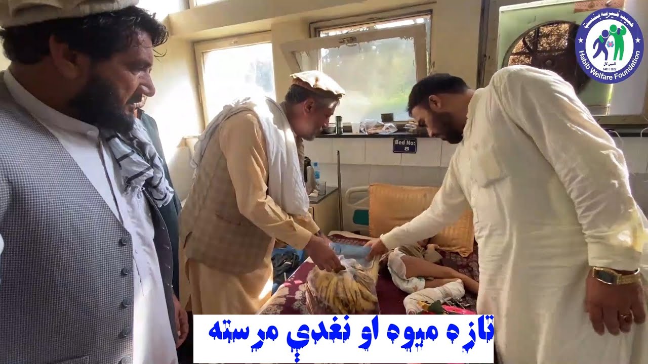 د ننګرهار ولایت صحت عامه کې تازه میوه او نغدې مرسته