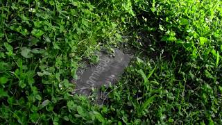 Hill Crest Cemetery