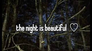 stroll under the moonlight
