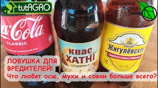 ДОБРЫЙ СОВЕТ В КОПИЛКУ! ЛОВУШКА ДЛЯ ОС, МУХ, МОЛИ и СОВКИ! Развесьте ловушку в саду и теплице.