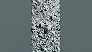 NASA’s DART DIRECT HIT INTO ASTEROID