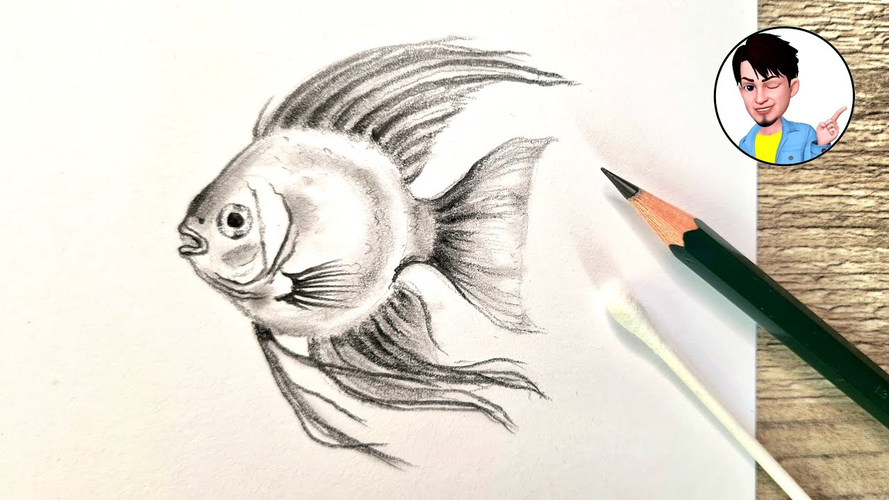 To Draw Awinking Fish Simply Draw a FISH 🐠 here's how - YouTube