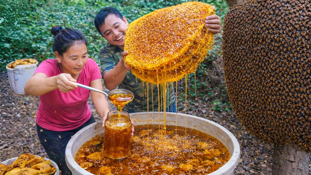 Harvesting wild honey, papayas, and catching giant fish to sell at the market with my wife