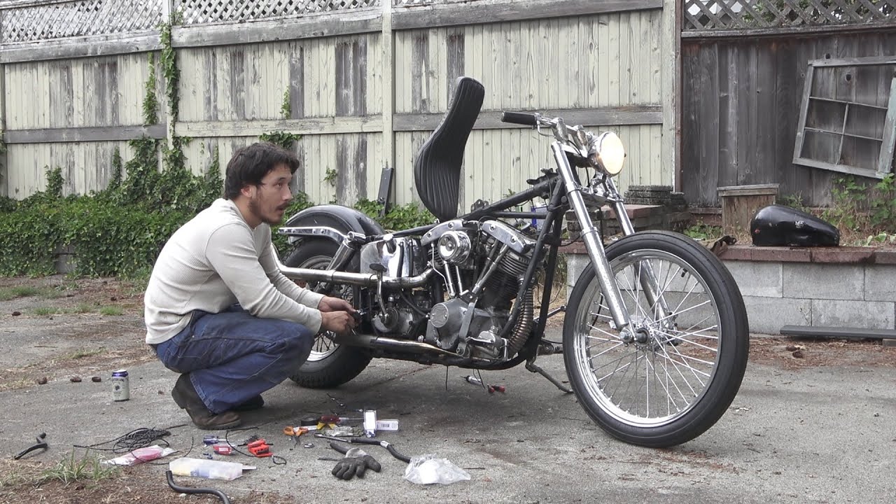 собака, достойная своего веса в хроме