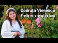 Codruta Vienescu - Florile mi-s dragi pe lume