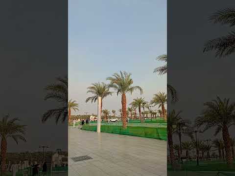 الميقات ابيار علي وقال فرعون عبدالله سعيد قران كريم