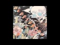 The Shins - The Fear (Album Version)