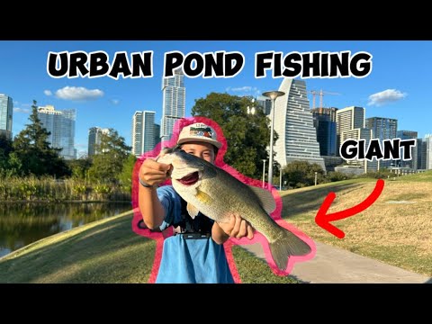 Fishing in extremely pressured ponds for big bass!!!