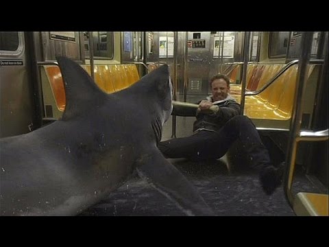 «Sharknado 2»: Kαρχαρίες επιτίθενται στη Νέα Υόρκη - cinema
