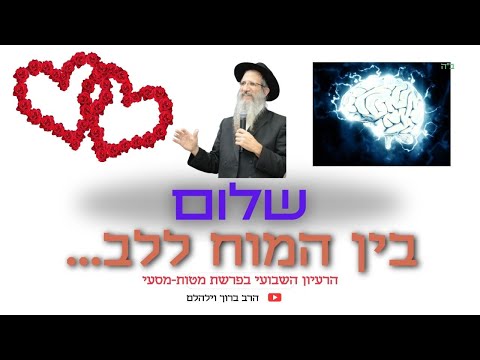 שלום בין המוח ללב