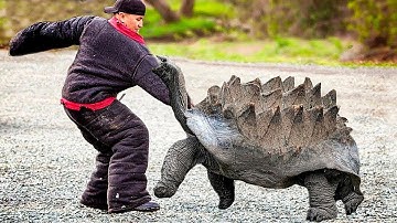 10 Most Dangerous Turtles In The World