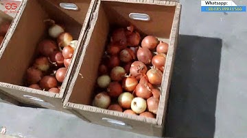 Potato Onion Size Sorting Grading Machine